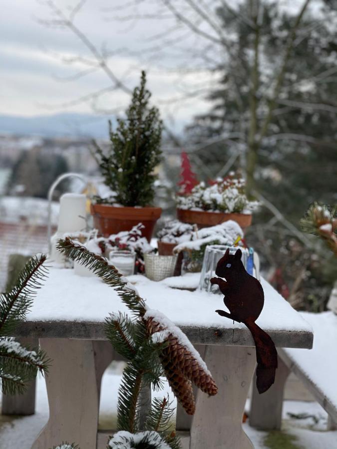 Farmhouse Eckartsberg Im Zittauer Gebirge - Ferienwohnung Mit 2 Schlafzimmern, Terrasse Und Wallbox Mittelherwigsdorf Buitenkant foto